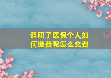 辞职了医保个人如何缴费呢怎么交费