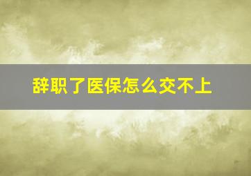 辞职了医保怎么交不上