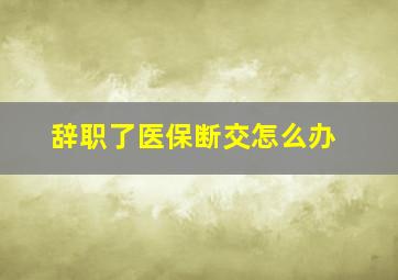 辞职了医保断交怎么办