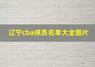 辽宁cba球员名单大全图片