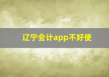 辽宁会计app不好使