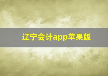 辽宁会计app苹果版