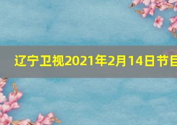 辽宁卫视2021年2月14日节目