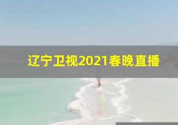 辽宁卫视2021春晚直播