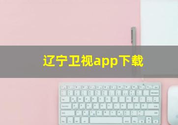 辽宁卫视app下载