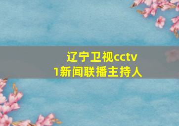 辽宁卫视cctv1新闻联播主持人