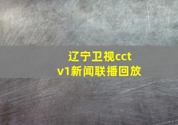 辽宁卫视cctv1新闻联播回放