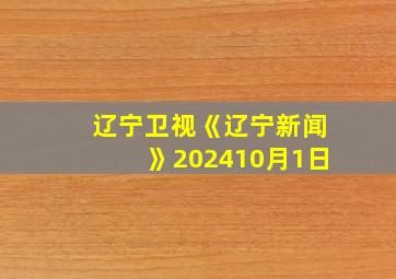 辽宁卫视《辽宁新闻》202410月1日