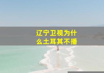 辽宁卫视为什么土耳其不播