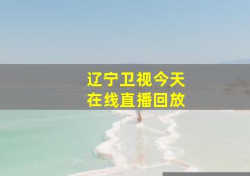 辽宁卫视今天在线直播回放