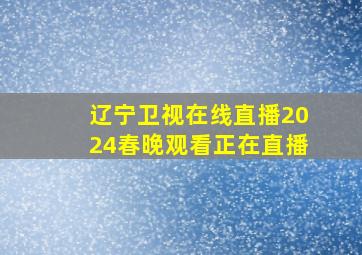 辽宁卫视在线直播2024春晚观看正在直播