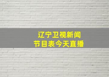 辽宁卫视新闻节目表今天直播