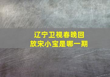 辽宁卫视春晚回放宋小宝是哪一期