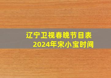 辽宁卫视春晚节目表2024年宋小宝时间