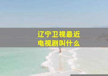 辽宁卫视最近电视剧叫什么