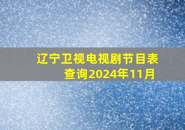 辽宁卫视电视剧节目表查询2024年11月