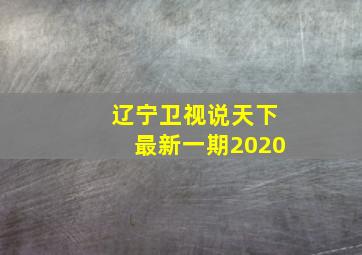 辽宁卫视说天下最新一期2020