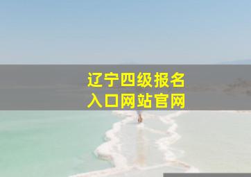 辽宁四级报名入口网站官网