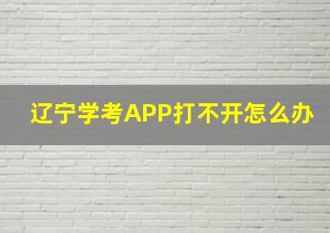 辽宁学考APP打不开怎么办