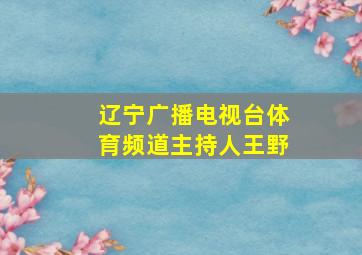 辽宁广播电视台体育频道主持人王野