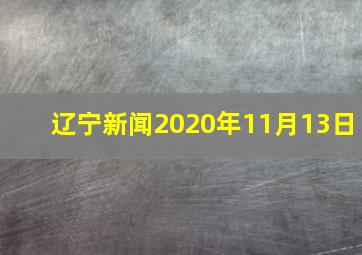 辽宁新闻2020年11月13日