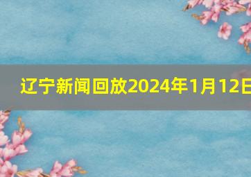 辽宁新闻回放2024年1月12日