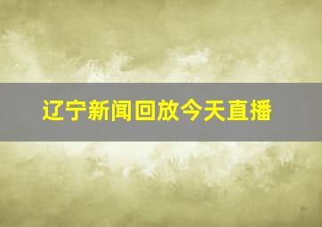 辽宁新闻回放今天直播