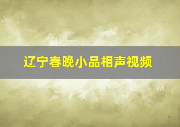 辽宁春晚小品相声视频