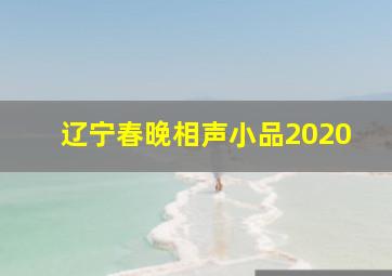 辽宁春晚相声小品2020