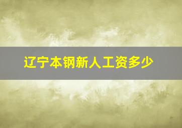 辽宁本钢新人工资多少