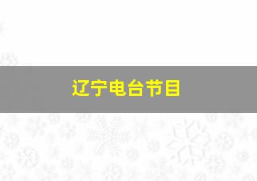 辽宁电台节目