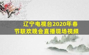 辽宁电视台2020年春节联欢晚会直播现场视频