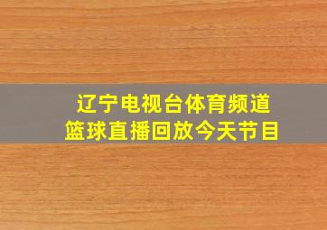 辽宁电视台体育频道篮球直播回放今天节目