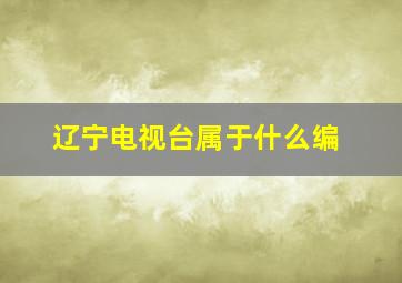 辽宁电视台属于什么编