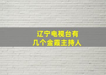 辽宁电视台有几个金霞主持人