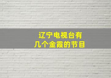 辽宁电视台有几个金霞的节目