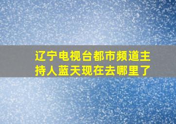 辽宁电视台都市频道主持人蓝天现在去哪里了