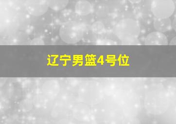 辽宁男篮4号位