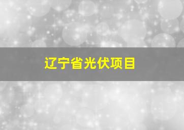 辽宁省光伏项目