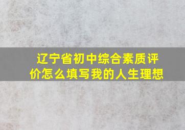 辽宁省初中综合素质评价怎么填写我的人生理想