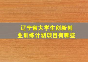 辽宁省大学生创新创业训练计划项目有哪些