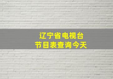 辽宁省电视台节目表查询今天