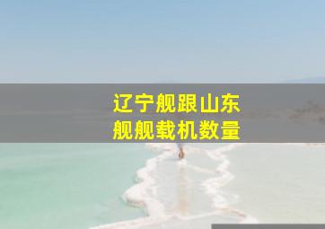 辽宁舰跟山东舰舰载机数量