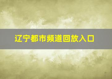 辽宁都市频道回放入口