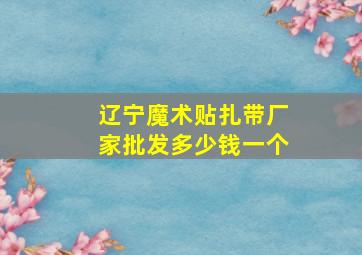 辽宁魔术贴扎带厂家批发多少钱一个