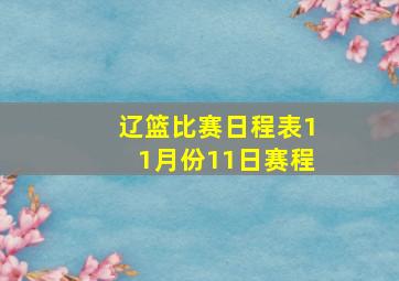 辽篮比赛日程表11月份11日赛程