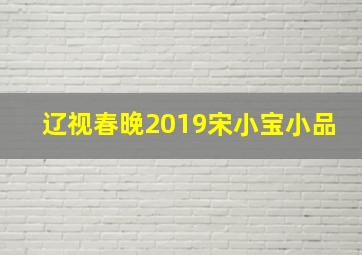 辽视春晚2019宋小宝小品