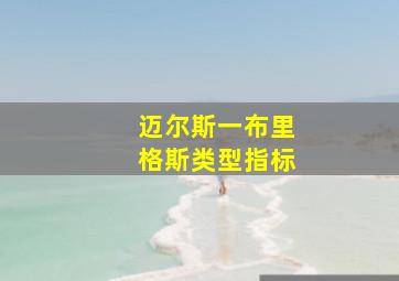 迈尔斯一布里格斯类型指标