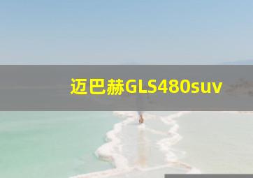 迈巴赫GLS480suv