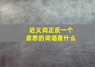 近义词正反一个意思的词语是什么